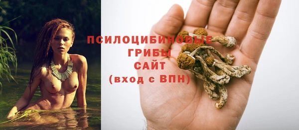 тгк Беломорск