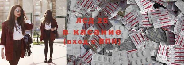 прущие грибы Белоозёрский
