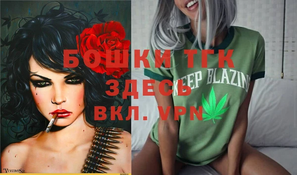 прущий лед Богданович