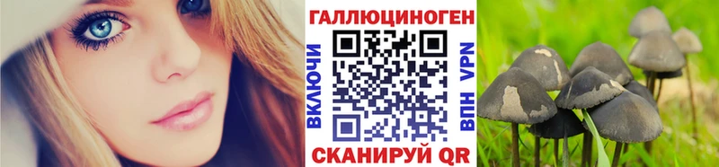 хочу наркоту  Томилино  Галлюциногенные грибы GOLDEN TEACHER 